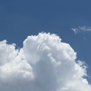 artist:tometartist:tomet
